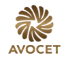 avocet avocet